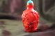 Antique Chinese Red Peking Glass Snuff Bottle Snuff Bottles photo 1