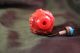 Antique Chinese Red Peking Glass Snuff Bottle Snuff Bottles photo 3