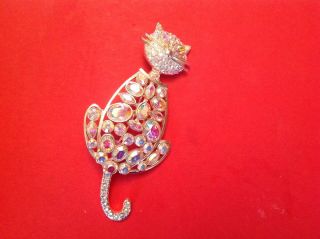 Beach Finds ' A Really Lovely ' Cat ' Brooch See Details photo
