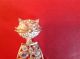 Beach Finds ' A Really Lovely ' Cat ' Brooch See Details British photo 1