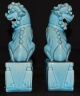Chinese Turquoise High Glaze Foo Dogs,  Lead Filled Base Foo Dogs photo 3