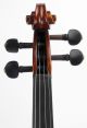 Rare Antique Francesco Lassi Italian Labeled 4/4 Old Master Violin String photo 4