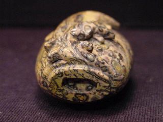 Chinese Carved Tiger Skin Rock Snuff Bottle Dolphins - Brass Spoon photo