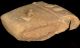 C3000 Bc Ancient Manuscript Clay Tablet Sumerian Cuneiform Paleography Writing Near Eastern photo 5