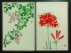 24 Flowers Japanese Woodblock Print Postcards Kawarazaki Shodo Color Unsodo 93 Prints photo 9