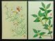 24 Flowers Japanese Woodblock Print Postcards Kawarazaki Shodo Color Unsodo 93 Prints photo 10