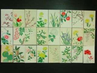 24 Flowers Japanese Woodblock Print Postcards Kawarazaki Shodo Color Unsodo 93 photo