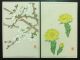 24 Flowers Japanese Woodblock Print Postcards Kawarazaki Shodo Color Unsodo 93 Prints photo 1