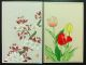 24 Flowers Japanese Woodblock Print Postcards Kawarazaki Shodo Color Unsodo 93 Prints photo 4