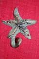 (4) Bronze Look,  Starfish,  Wall Hooks,  Sea Life,  Christmas Gift,  Woman N - 24 Hooks & Brackets photo 1