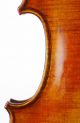 Italian Antique Carlo Micelli Labeled 4/4 Old Master Violin String photo 5