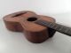 German Historical Antique Old Parlour Parlor Guitar Acoustic Germany Romantic String photo 1