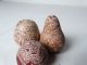 3 Quality Small Incised Decorative Mini - Gourds Bolivia,  C 1980’s Native American photo 1