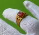 Gold Ancient Roman Intaglio Ring Butterfly 11,  81 G & Rare Roman photo 7