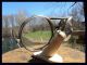 Vtg I - Safe 1922 Goggles Safety Eye Glasses Rugged Motorcycle Steampunk Optical photo 2