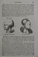 Phrenology Brain Science Medical Psychology Human Skull Head Anatomy Antique Old Quack Medicine photo 6