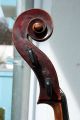 German Cello By Neuner & Hornsteiner Good Sounding Orchestra Cello String photo 9