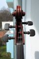 German Cello By Neuner & Hornsteiner Good Sounding Orchestra Cello String photo 10