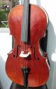 German Cello By Neuner & Hornsteiner Good Sounding Orchestra Cello String photo 1