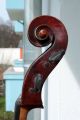 German Cello By Neuner & Hornsteiner Good Sounding Orchestra Cello String photo 7