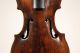 18th Century Violin,  Vienna Or Bratislava Around 1780 String photo 1