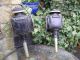 Fine Antique /victorian Red Eye Carriage / Coach Lamps Lamps photo 2
