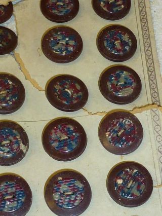 36 Antique Buffalo Horn Buttons On Cards Late 1800s Brown Blue Red Speckled 3/4 