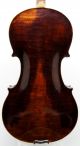 Outstanding And Important Antique American Violin By Andrew Hyde - String photo 2