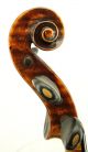 Outstanding And Important Antique American Violin By Andrew Hyde - String photo 4