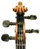Outstanding And Important Antique American Violin By Andrew Hyde - String photo 5