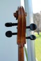Cello,  Violoncello Around 1900, String photo 10