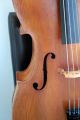 Cello,  Violoncello Around 1900, String photo 2