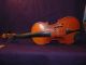 Old German Antonius Straduarius Anno 17 3/4 Violin W/ Case String photo 1