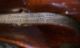 A Rare Old Italian Violin Attributed To Dominicus Montagnana 1745 String photo 7