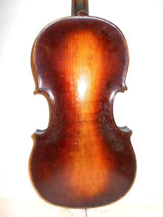 Very Old Vintage Antique 1800s 1 Pc Back Violin - photo