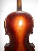 Very Old Vintage Antique 1800s 1 Pc Back Violin - String photo 1