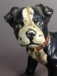 Antique Rare Boston Terrier Puppy Dog Solid Figure Cast Iron Hubley Doorstop Metalware photo 4