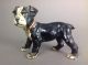 Antique Rare Boston Terrier Puppy Dog Solid Figure Cast Iron Hubley Doorstop Metalware photo 7