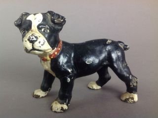 Rare Antique Boston Terrier Puppy Dog Solid Figure Cast Iron Hubley Doorstop photo