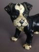 Rare Antique Boston Terrier Puppy Dog Solid Figure Cast Iron Hubley Doorstop Metalware photo 4