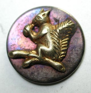 Antique Button Brass Squirrel W/ Acorn On Purple Tinted Steel Disc photo
