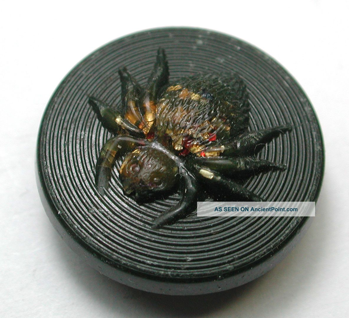 Antique Composition Button Fun Spider Design 1890s 11/16 Inch Charming Buttons photo
