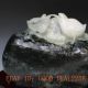 100 Natural Dushan Jade Hand - Carved Two Chicks Statue Other photo 2