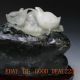 100 Natural Dushan Jade Hand - Carved Two Chicks Statue Other photo 3