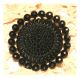 Victorian 1900 ' S Large Passementerie Mechanical Makeup Black Glass Button Buttons photo 1
