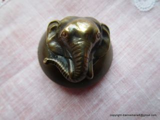 2092 – J – Very High Relief Elephant Head Antique Brass Button photo