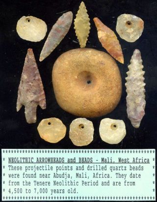 11 Neolithic Artifacts Mali - Sahara Desert 4,  500 - 7,  000 Yrs.  Old photo