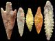 11 Neolithic Artifacts Mali - Sahara Desert 4,  500 - 7,  000 Yrs.  Old Neolithic & Paleolithic photo 2