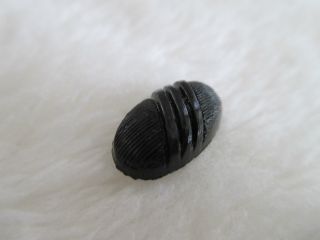 Antique Grooved Oval Black Glass Leo Popper Button 5/8 