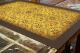 Primitive,  4 ' X6 ' Floorcloth.  Expertly Hand - Crafted At A Great Price Primitives photo 4